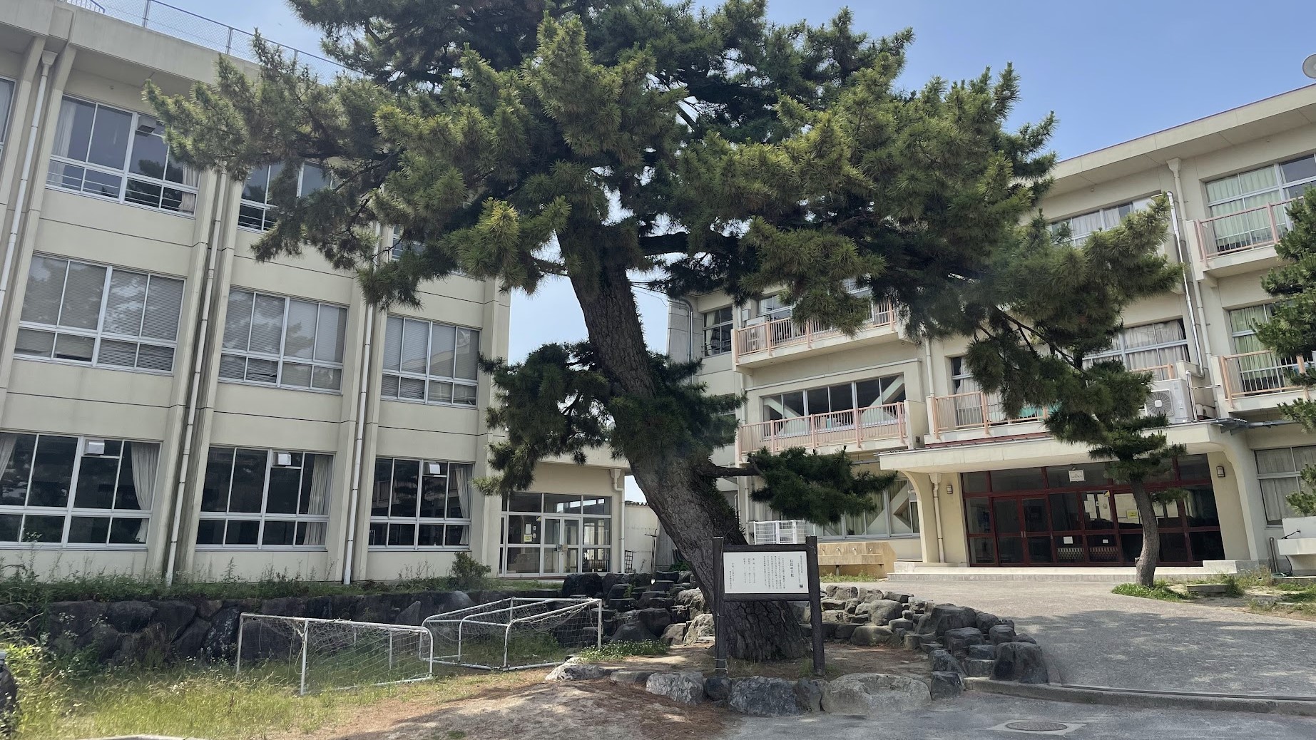 長島城跡｜小・中学校の敷地内にある大松が目印の城跡