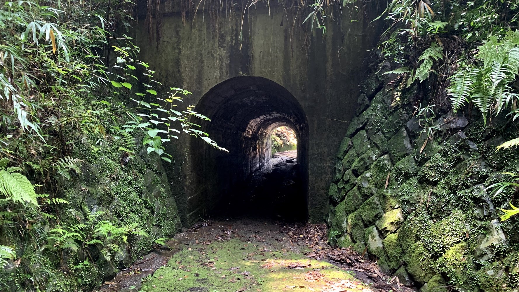 洞門口｜異空間にいざなう空気が漂う北勢線をくぐるトンネル
