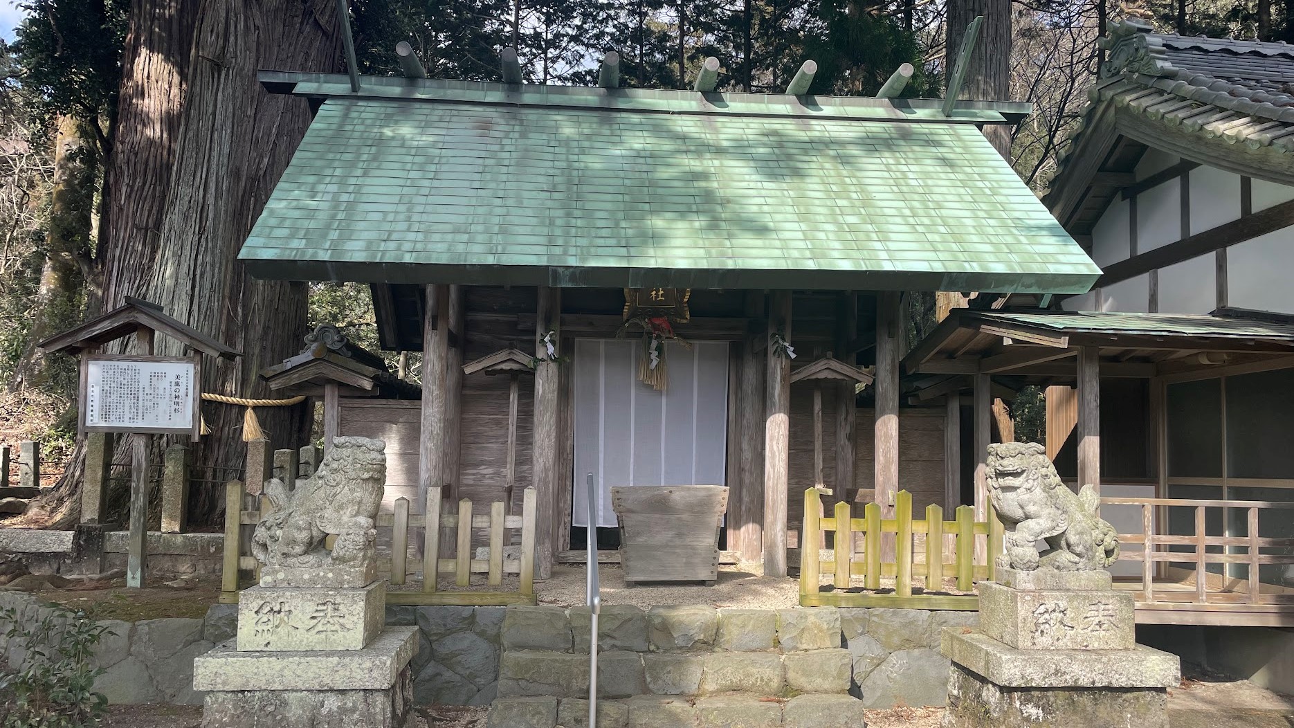 大杉神社｜県の天然記念物の大杉がシンボルの神社