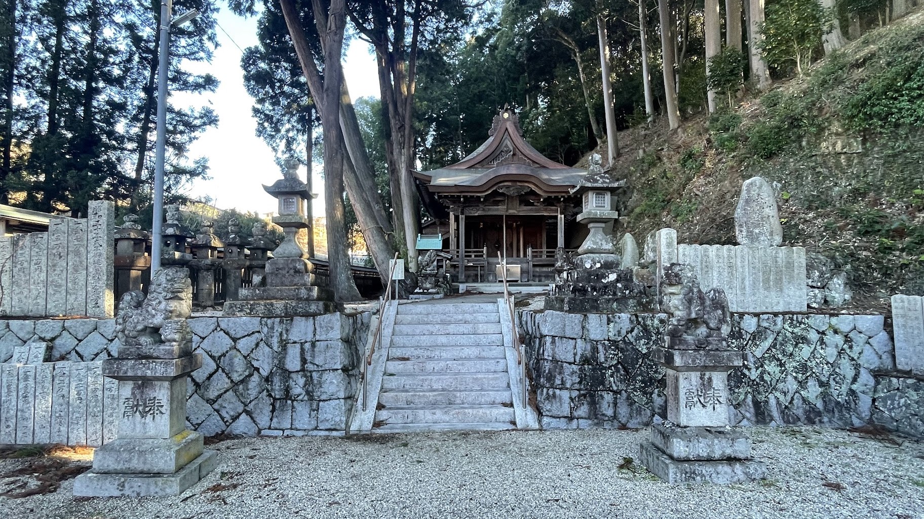 国津神社｜杉と檜が根元で一体となった杉檜がパワースポットの神社