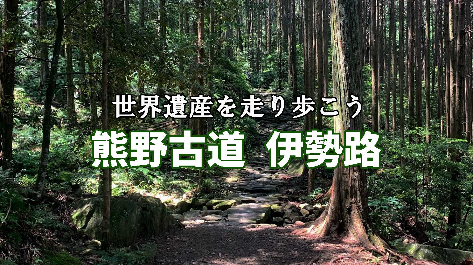 ユネスコ世界遺産に登録されている熊野古道・伊勢路を走り歩いて巡ろう